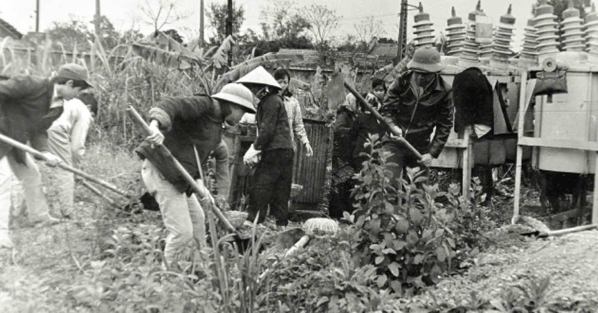 Giữ sáng Hà Nội bằng cả tuổi xuân