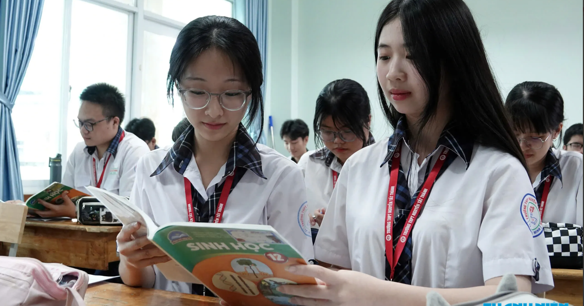 168 phường, xã, đặc khu TP.HCM sắp xếp trường lớp theo tiêu chí nào?