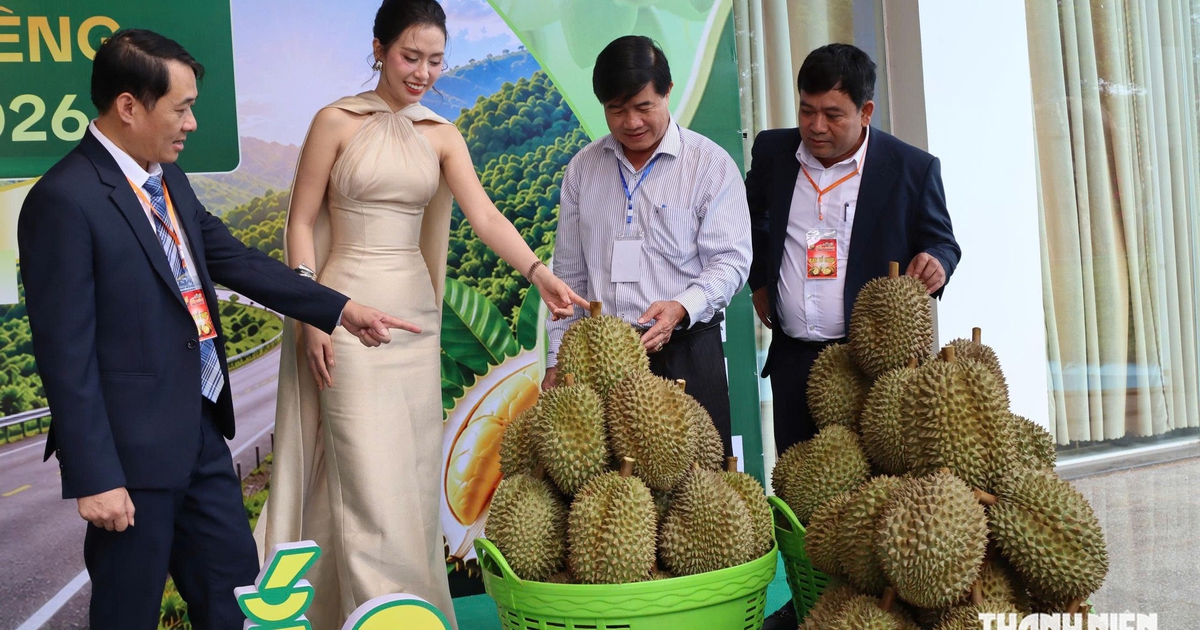 Đấu giá sầu riêng đầu tiên thu về gần 24 tỉ đồng cho nông dân