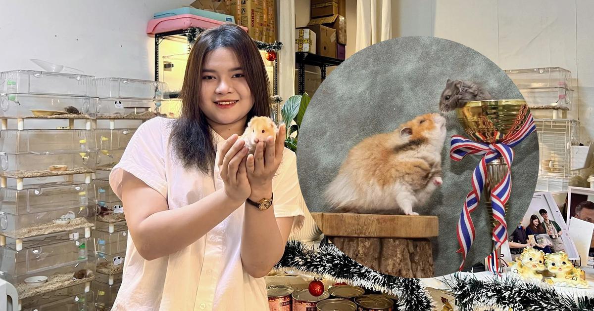 Cô gái ở TP.HCM nhân giống hamster 'khổng lồ', đưa thú cưng đi thi quốc tế
