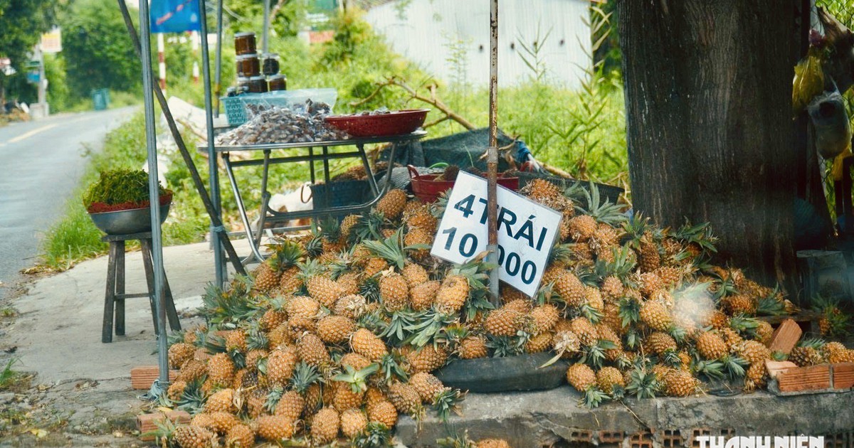 Vietnam-General