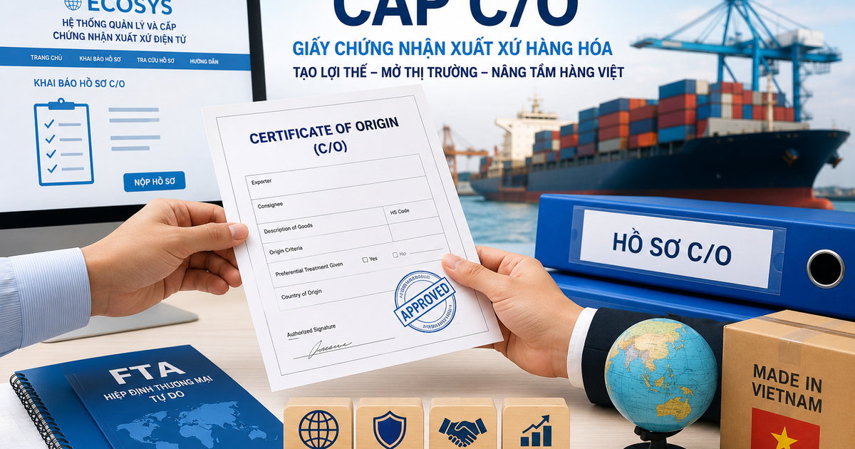 Từ 1.8, TP.HCM chính thức tiếp nhận cấp giấy chứng nhận xuất xứ hàng hóa C/O