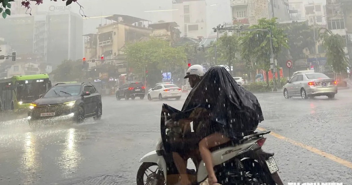 19 tỉnh, thành phố ứng phó mưa lớn, gió mạnh trên biển