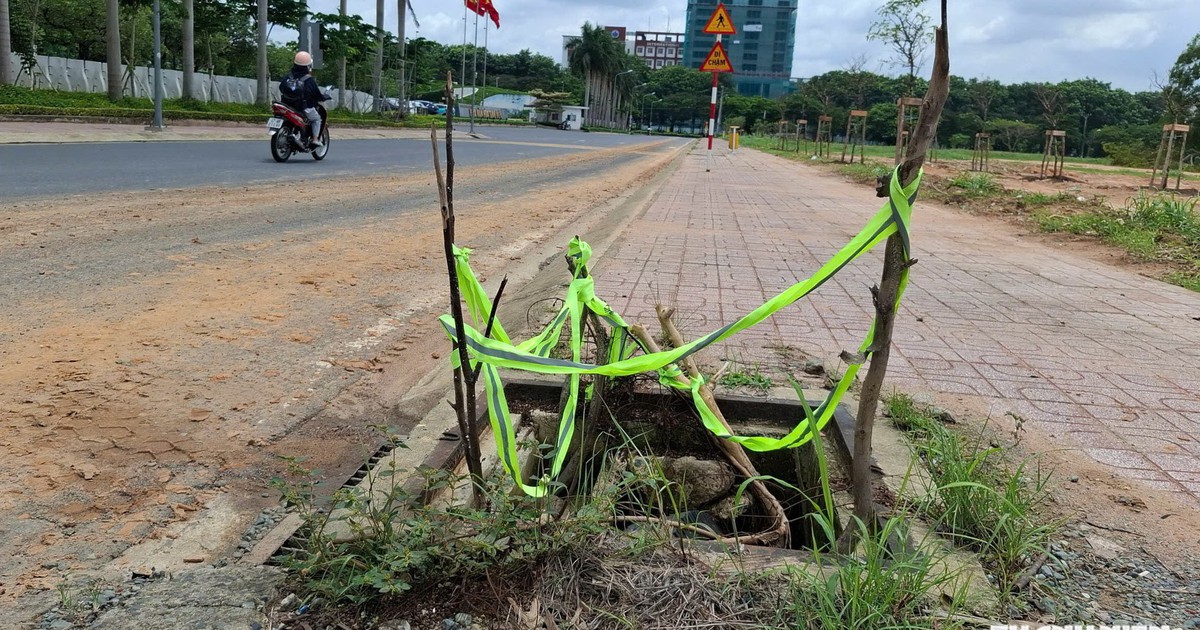Hố ga nguy hiểm