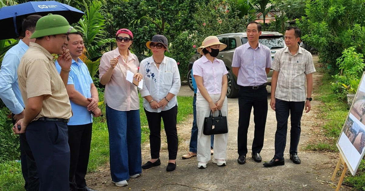 Khảo s&aacute;t thực địa dự &aacute;n hơn 13.200 tỉ chống ngập &uacute;ng ven s&ocirc;ng Hồng