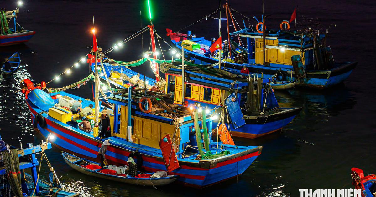 Phiên chợ nổi đặc biệt ở Quảng Ngãi: Thương lái chèo ghe áp sát tàu cá mua hải sản
