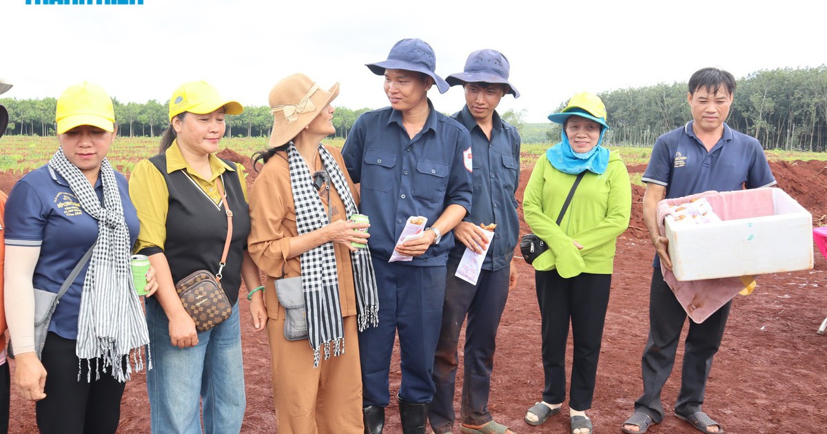 Nghĩa t&igrave;nh qu&acirc;n d&acirc;n nơi t&igrave;m kiếm, quy tập h&agrave;i cốt liệt sĩ ở x&atilde; Minh Đức