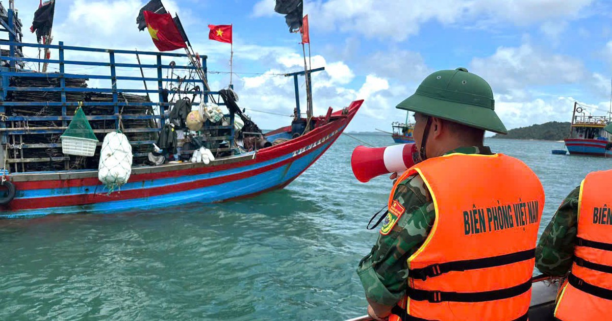 T&agrave;u du lịch tạm dừng hoạt động tr&ecirc;n vịnh Hạ Long để tr&aacute;nh b&atilde;o