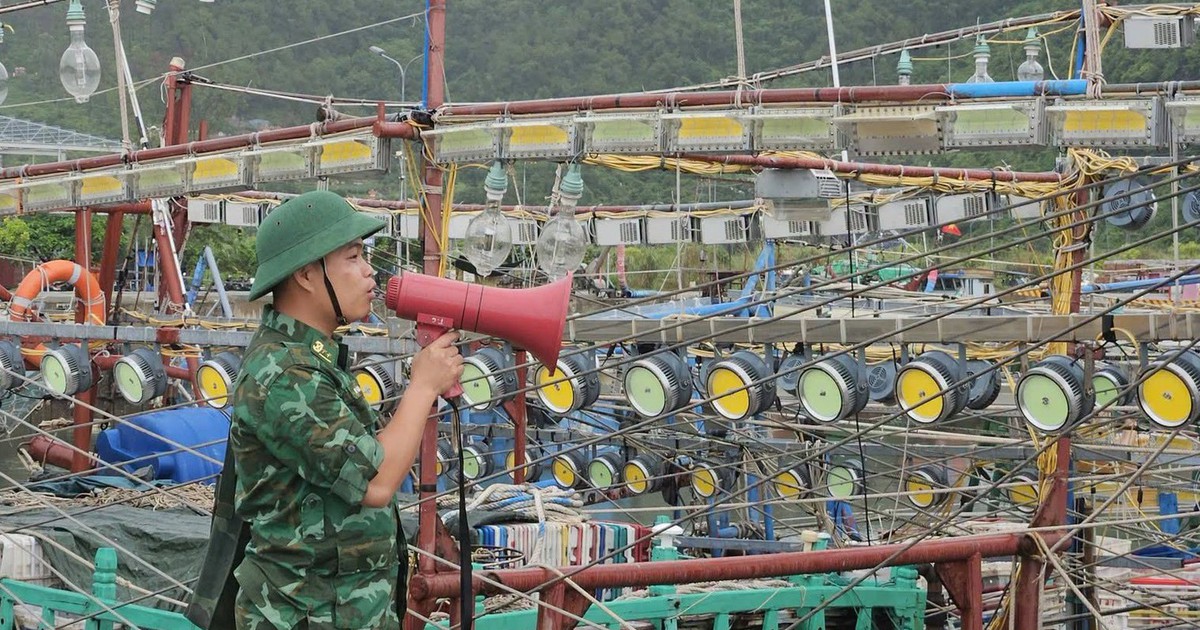 Hải Phòng chỉ đạo khẩn chống bão Maysak, một đặc khu cần lưu ý đặc biệt