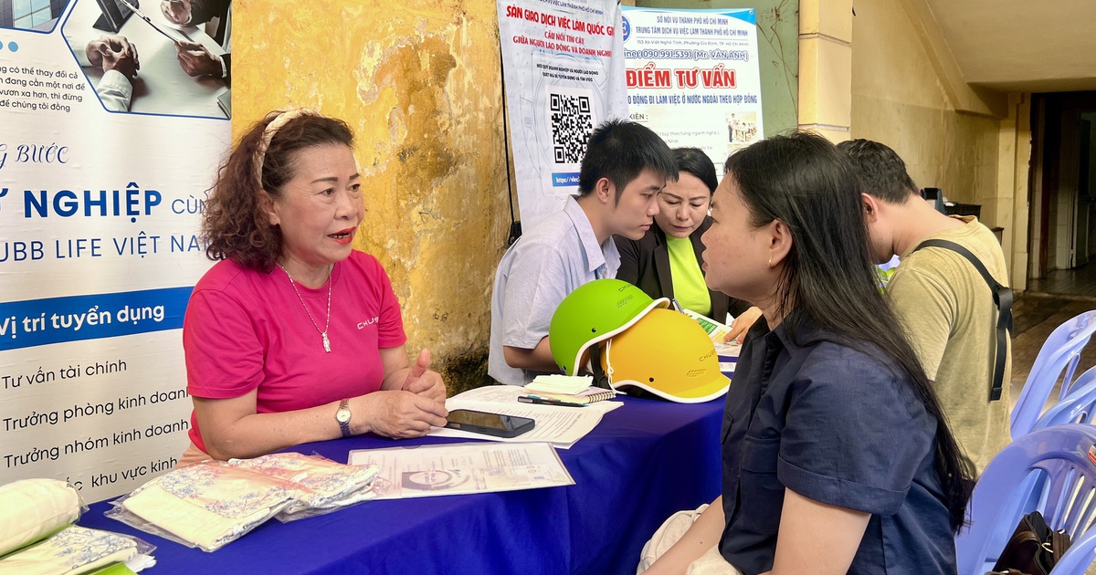Cầm bằng đại học đi tìm việc ở TP.HCM: Người lao động đang chịu áp lực