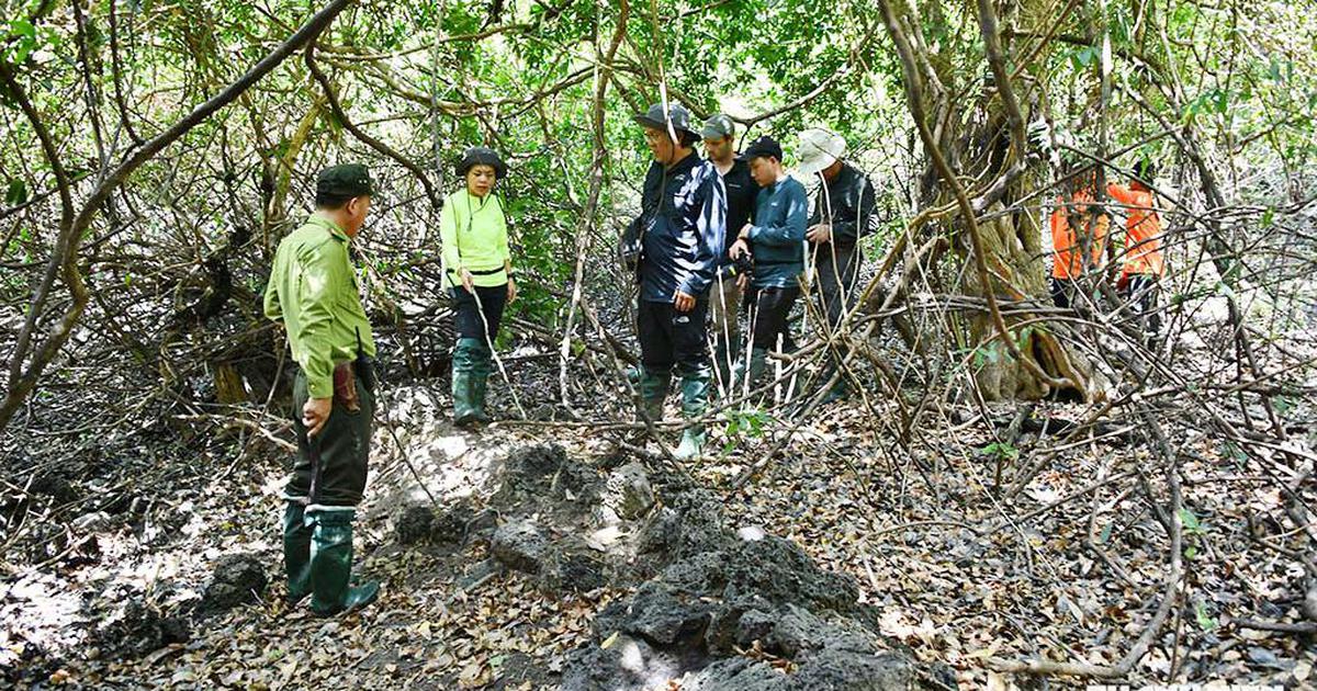 Giữ rừng thời công nghệ: Những bóng hồng Katien