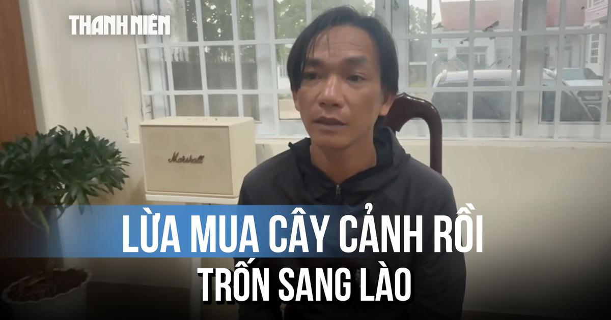 Thủ đoạn dùng dấu giả lừa mua 150 triệu đồng cây cảnh của kẻ trốn truy nã