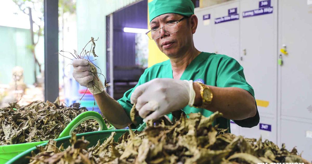 Mở hành lang pháp lý để y học cổ truyền VN phát triển