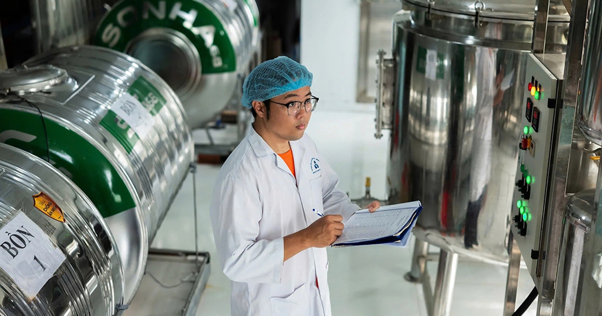 Người "lên đời" cây dừa nước Việt Nam