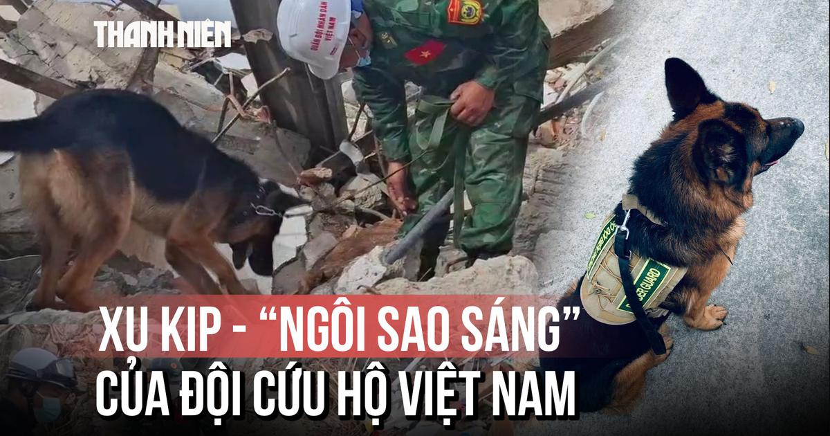 Được đeo huân chương ở Venezuela, 8 chú chó nghiệp vụ Việt Nam có gì đặc biệt?