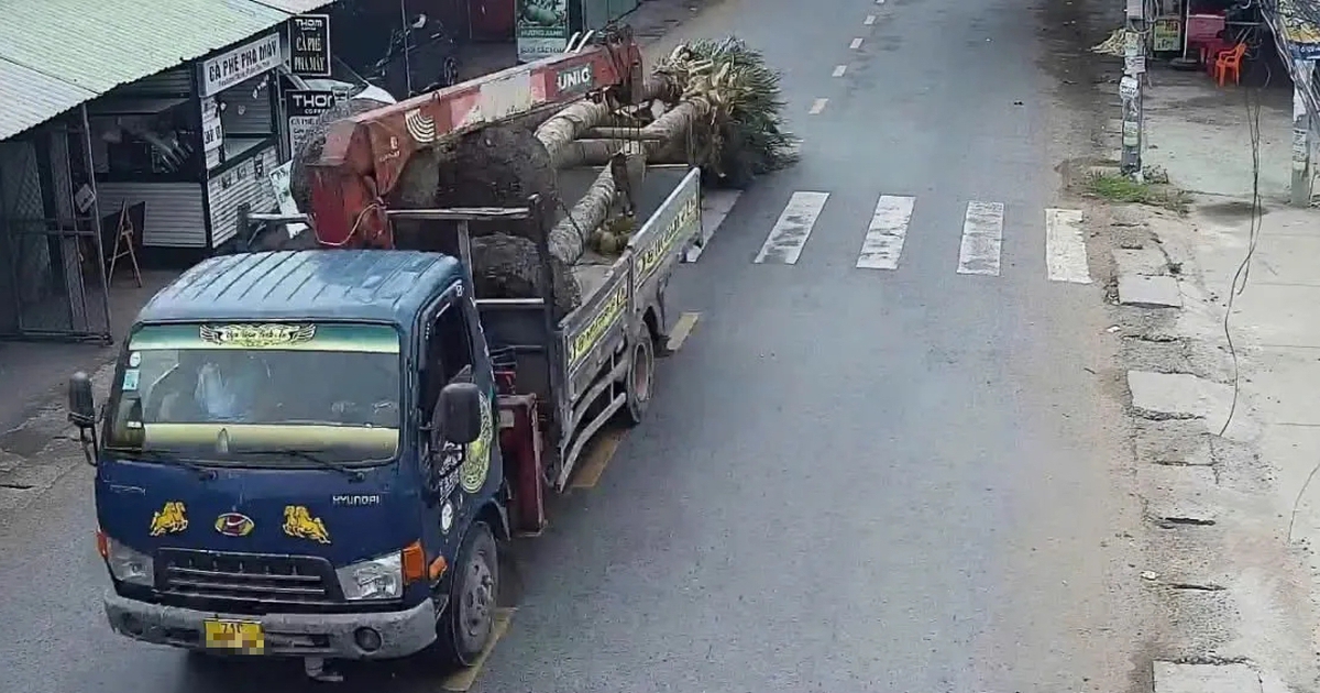 Xử l&yacute; t&agrave;i xế chở h&agrave;ng qu&aacute; khổ bị camera gi&aacute;m s&aacute;t ghi h&igrave;nh