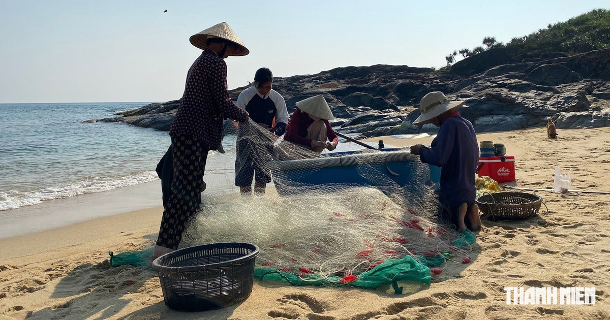 C&aacute; từ biển l&ecirc;n rừng: Một thuở Sa Huỳnh g&aacute;nh c&aacute; đổi l&uacute;a