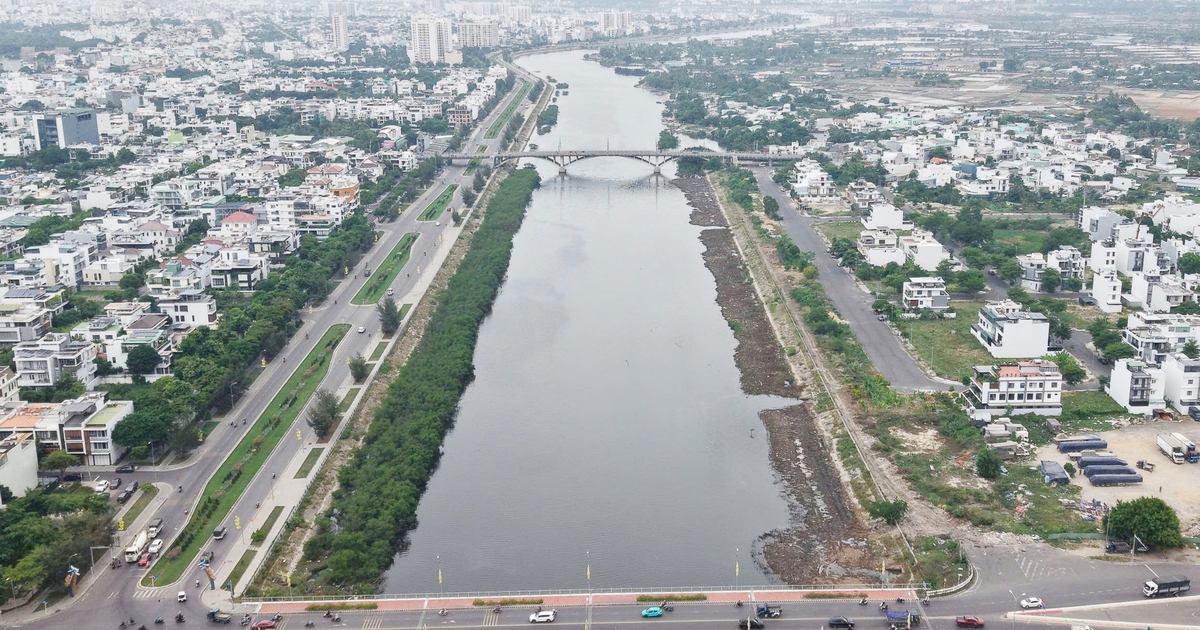 Vì sao chặt hàng cây trên sông Quán Trường ở Nha Trang?