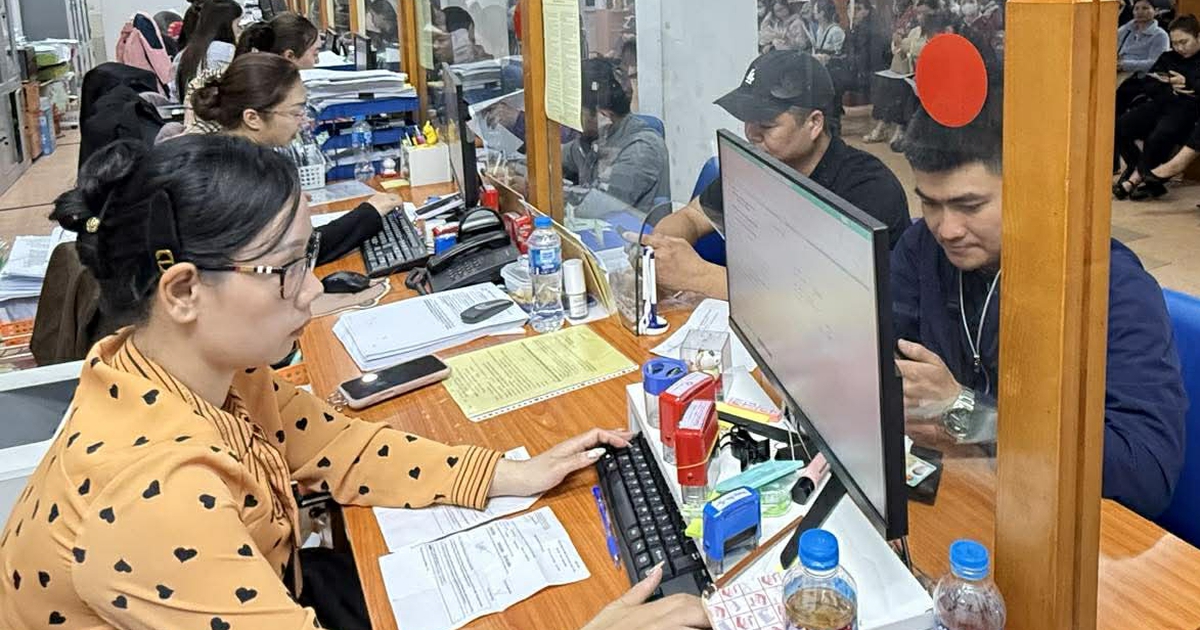 Viên chức được xếp lương theo 5 bậc nghề nghiệp