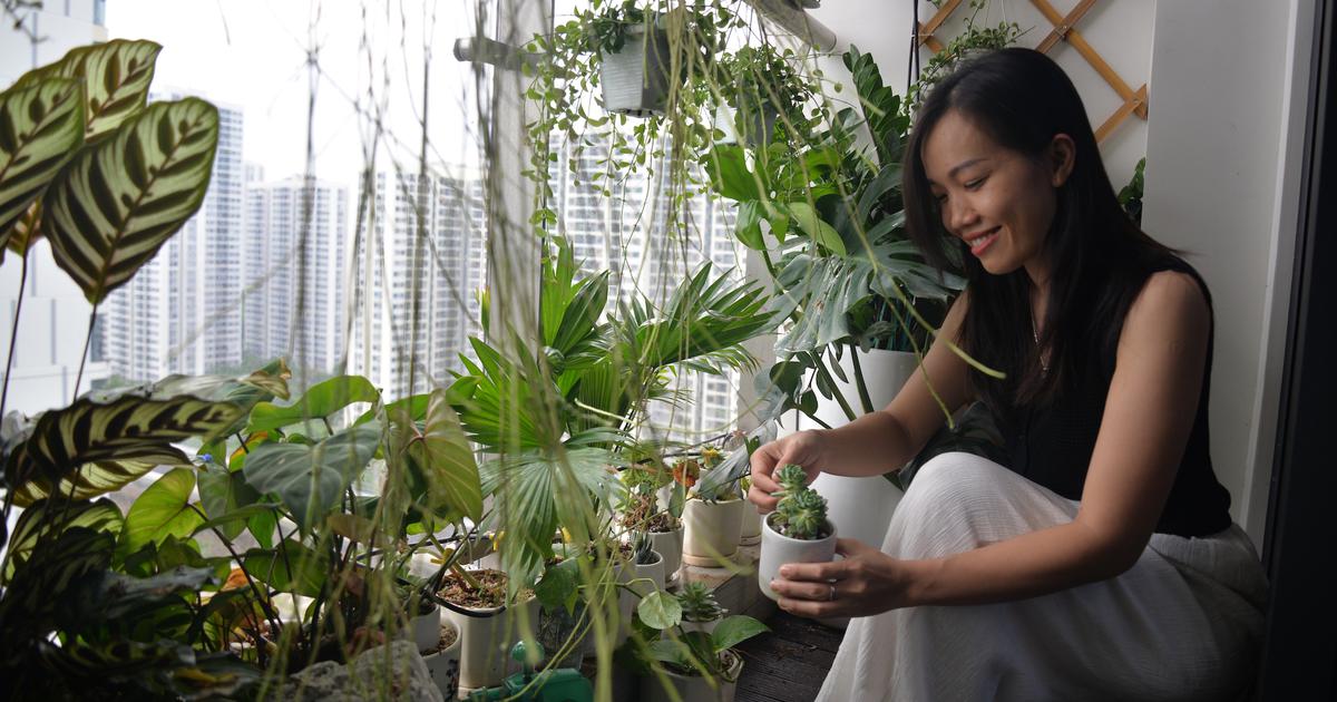 Chi tiền triệu làm góc chill riêng tư nơi ban công