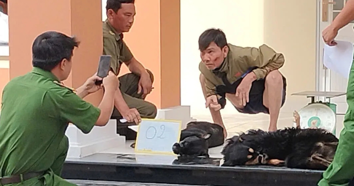 Trộm chó bị lộ tẩy, rút súng điện mở đường tháo chạy nhưng bất thành