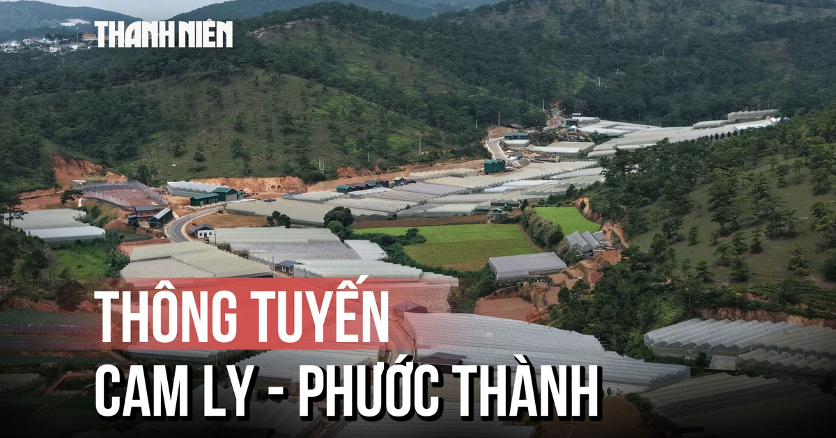 Cận cảnh tuyến đường Cam Ly - Phước Thành về đích sau khi gỡ nút thắt mặt bằng