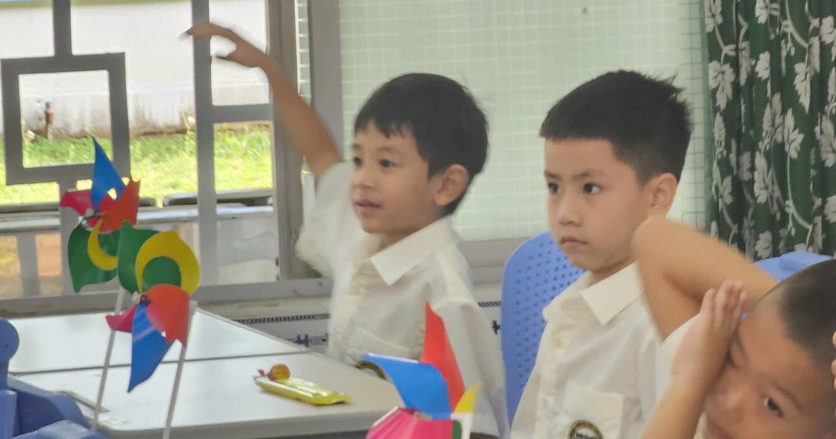 TP.HCM giải thể Trường tiểu học bán công Nam Sài Gòn, học sinh đến trường nào?