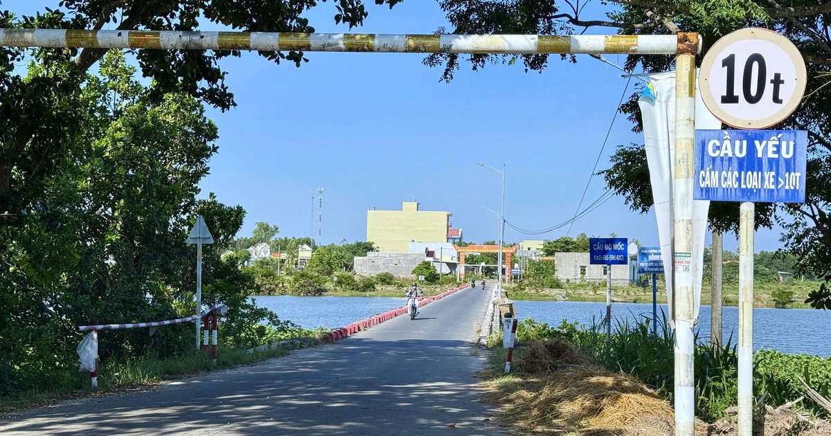 Những c&acirc;y cầu ở Quảng Ng&atilde;i 'oằn m&igrave;nh' g&aacute;nh xe cộ, chờ ng&agrave;y được thay thế