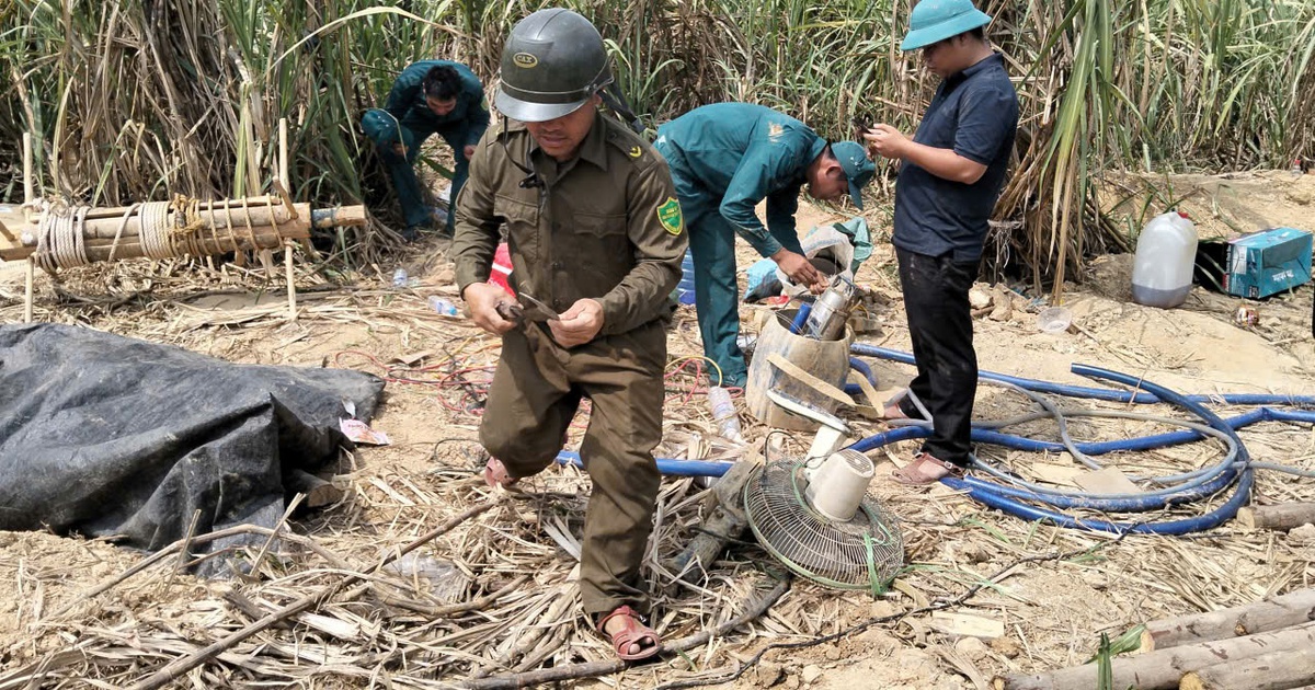 Yêu cầu xử lý vụ khai thác vàng trong rẫy mía ở Đắk Lắk
