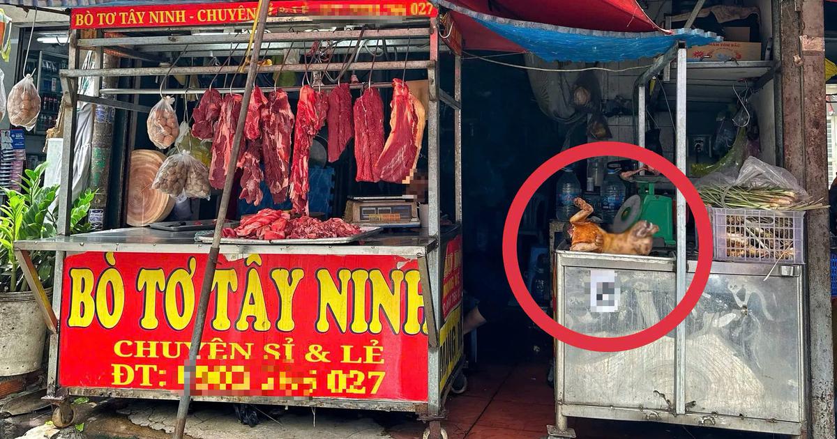 Phố thịt ch&oacute; một thời ở TP.HCM thưa vắng, v&igrave; sao vẫn c&ograve;n người b&aacute;n cầy tơ?