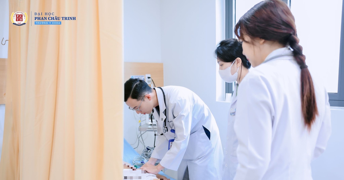 Trường đại học Phan Châu Trinh công bố điểm chuẩn, mở thêm đợt xét tuyển mới