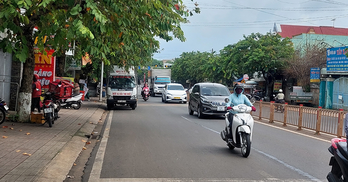 Tán cây xòe ra đường