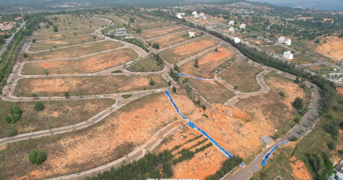 Thanh tra tỉnh Lâm Đồng đề nghị làm rõ trách nhiệm 332 kiến nghị tồn đọng