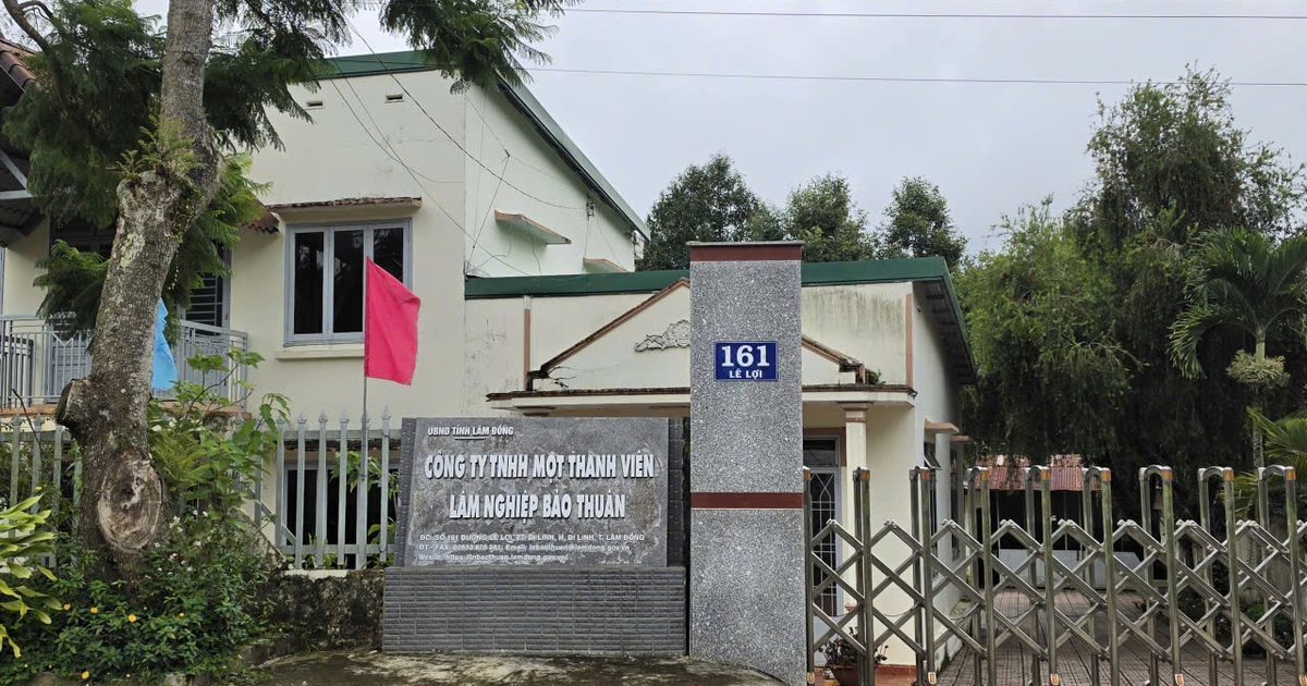 Thanh tra Lâm Đồng: Công ty Bảo Thuận để hơn 51 ha đất lâm nghiệp bị lấn chiếm