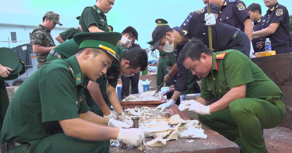 Khởi tố vụ án gần 1,2 tấn ngà voi giấu trong hộp gỗ tại cảng Quy Nhơn