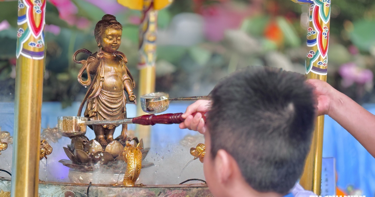 Người tu tập sự xuất gia là ai, có được dạy bảo các chú tiểu ở chùa?