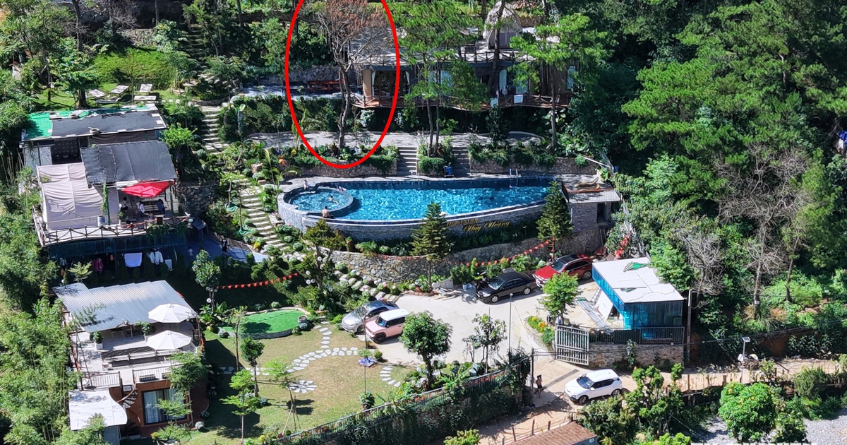 Villa, homestay mọc như nấm trong rừng phòng hộ: Sở NN-MT Hà Nội khẳng định phản ánh "có cơ sở"