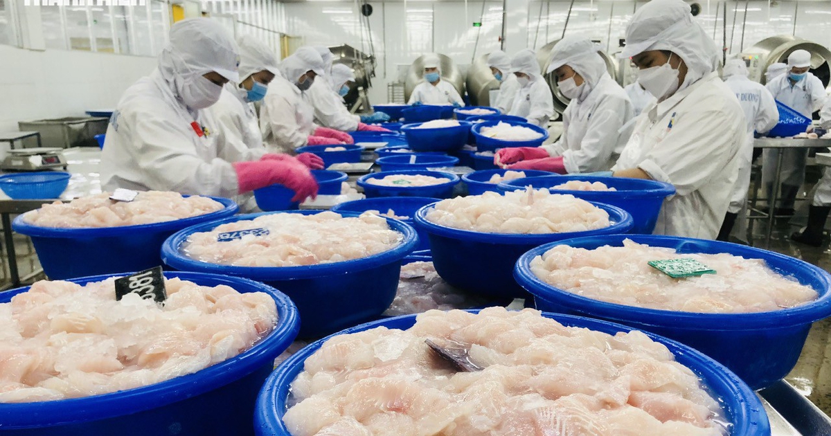 Cá tra Việt Nam tắc đường vào Mỹ?