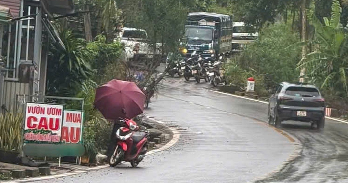 Vụ nữ nhân viên thư viện tử vong: Bắt tạm giam nghi phạm