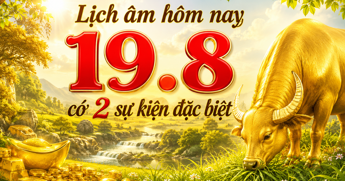 Hôm nay ngày Thất tịch 2026: 19.8 còn là ngày gì mà nhiều người quan tâm?