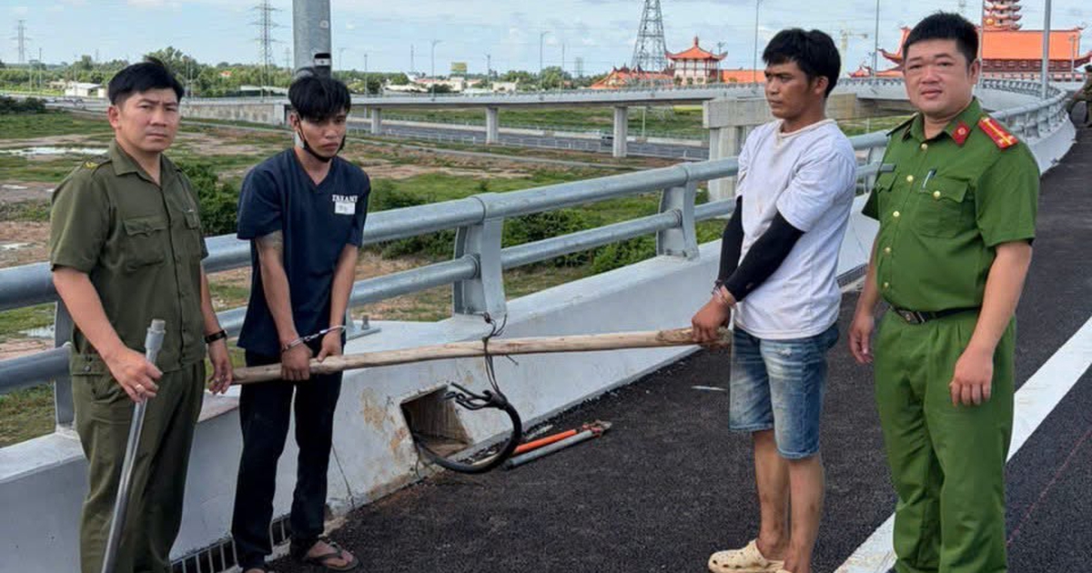 Bắt 2 nghi can trộm dây điện chiếu sáng cao tốc Biên Hòa - Vũng Tàu