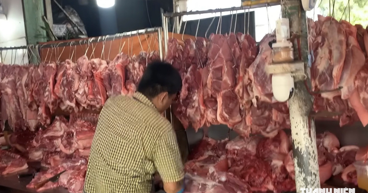 Giá heo hơi hôm nay 17.8.2026: Lùi gần về mốc 55.000 đồng/kg