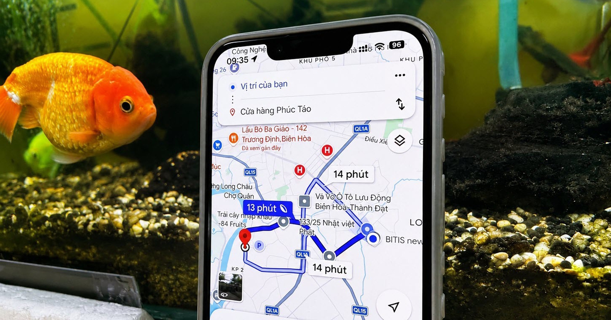 Vì sao nên ngừng chọn tuyến đường nhanh nhất trên Google Maps?