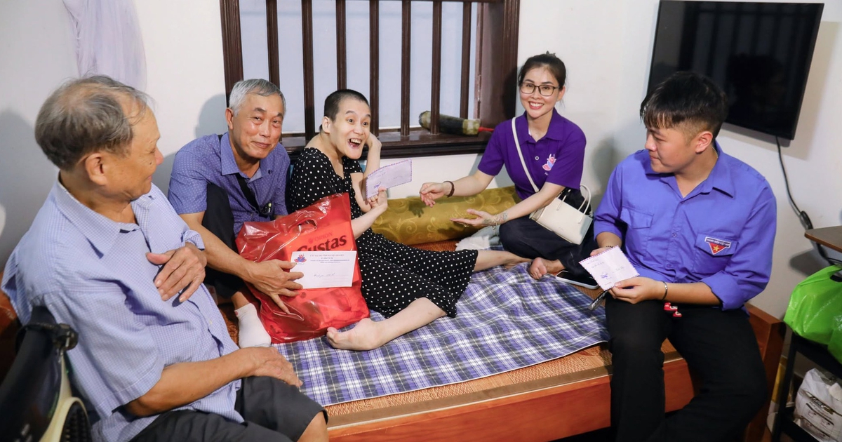 Những bông hoa sen trên thành phố cảng