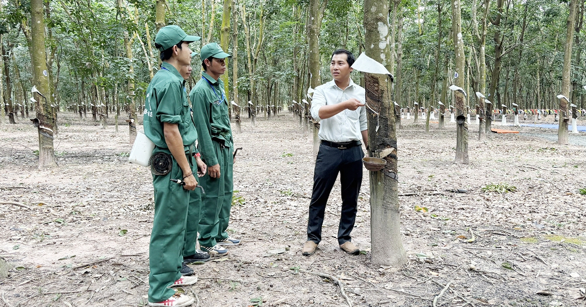 Những sáng kiến nảy mầm trên đất Kampong Thom