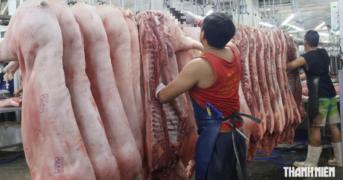 TP.HCM siết quản lý an toàn thực phẩm, bảo vệ bữa ăn của 14 triệu dân ra sao?