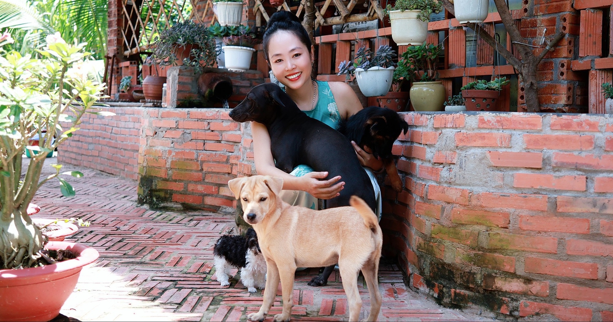 Hơn 10 năm cưu mang chó hoang của cô gái miền Tây