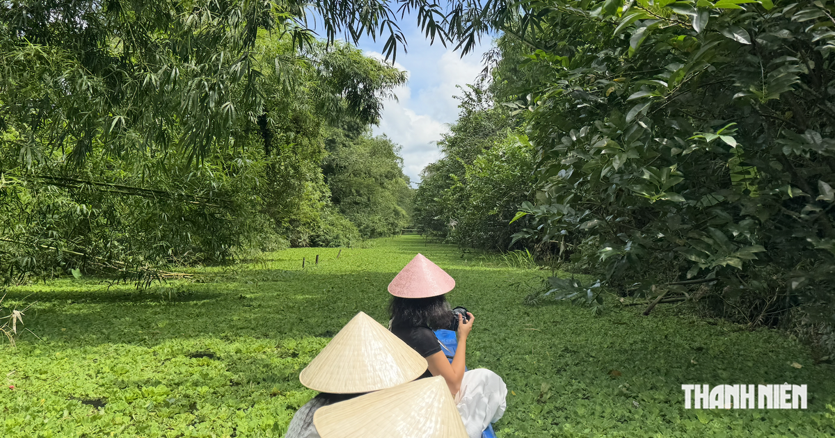 Khách du lịch đổ xuống miền Tây khám phá văn hóa Khmer Nam Bộ