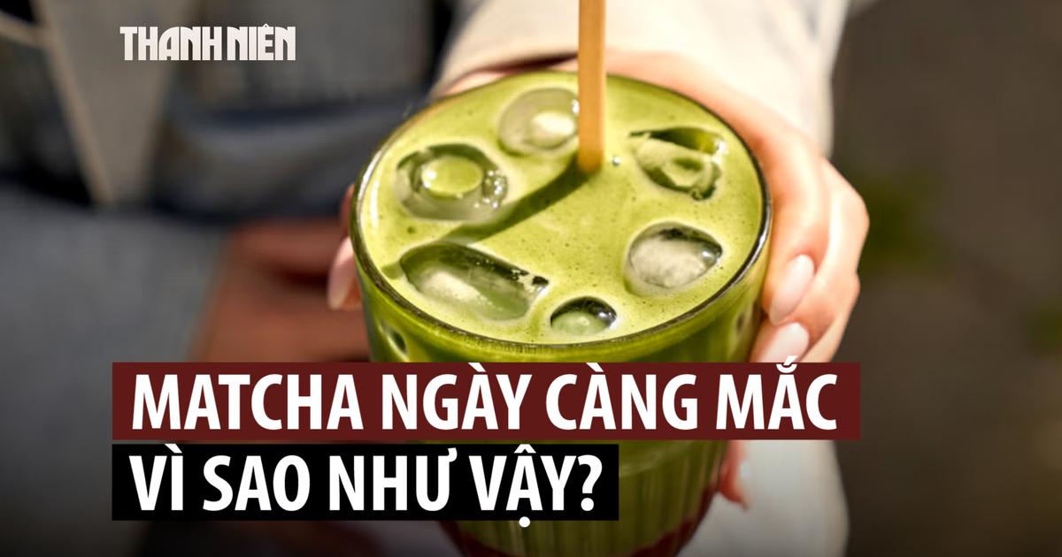 Vì sao matcha ngày càng mắc?