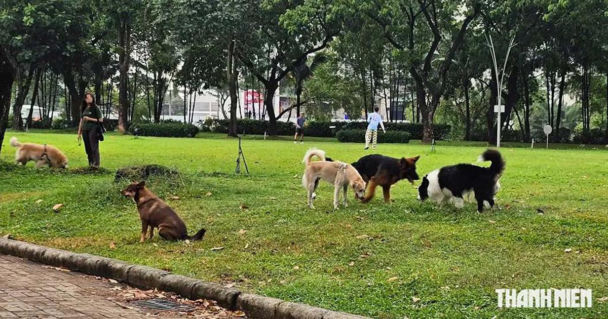 Lăng kính bạn đọc: Công viên không phải tài sản riêng của người nuôi chó
